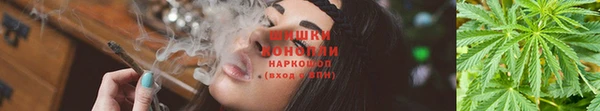 спиды Елабуга