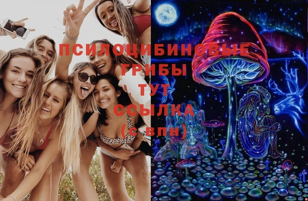 прущая мука Ельня
