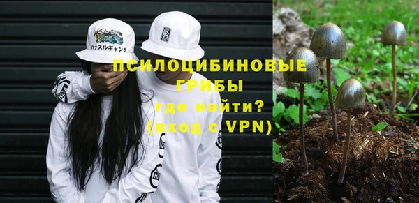 прущая мука Ельня