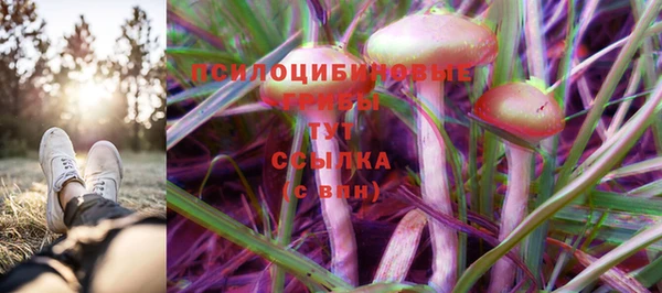 бошки Елизово