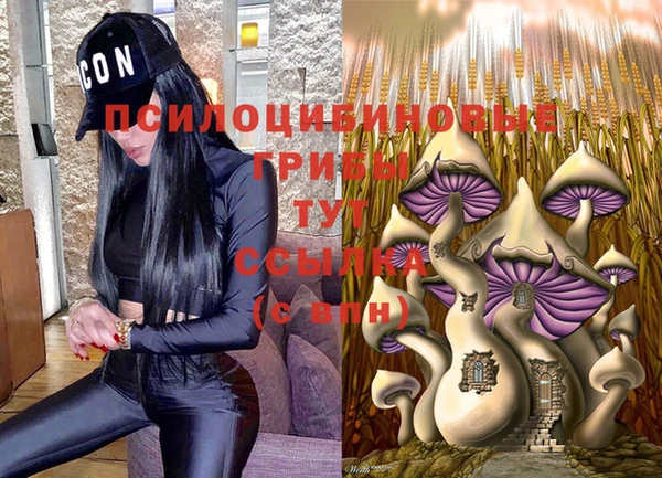 круглые Гусиноозёрск