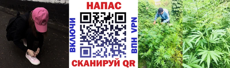 kraken онион Зарайск МАРИХУАНА гибрид